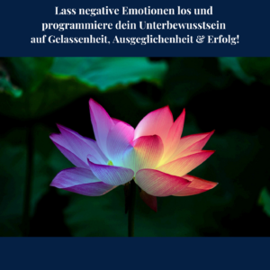 Kartenset "Leben in Balance"