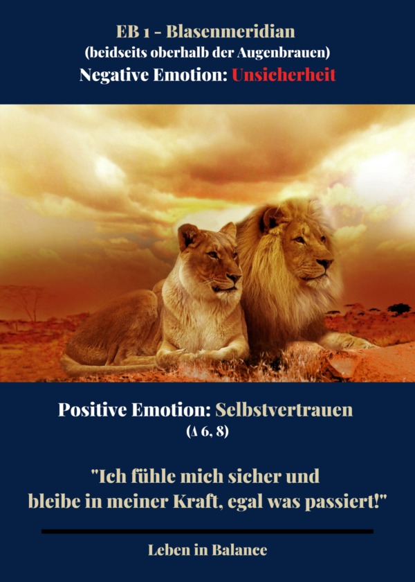 Kartenset "Leben in Balance" – Bild 2