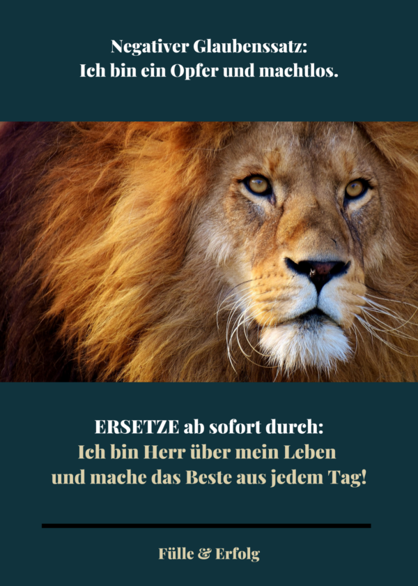 Kartenset "Fülle & Erfolg - Negative Glaubenssätze loslassen & ersetzen" – Bild 5