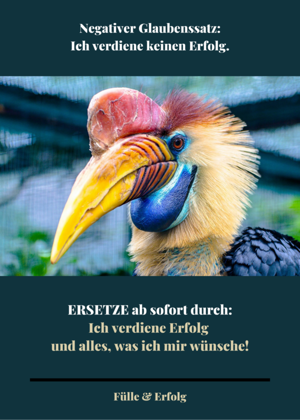 Kartenset "Fülle & Erfolg - Negative Glaubenssätze loslassen & ersetzen" – Bild 3