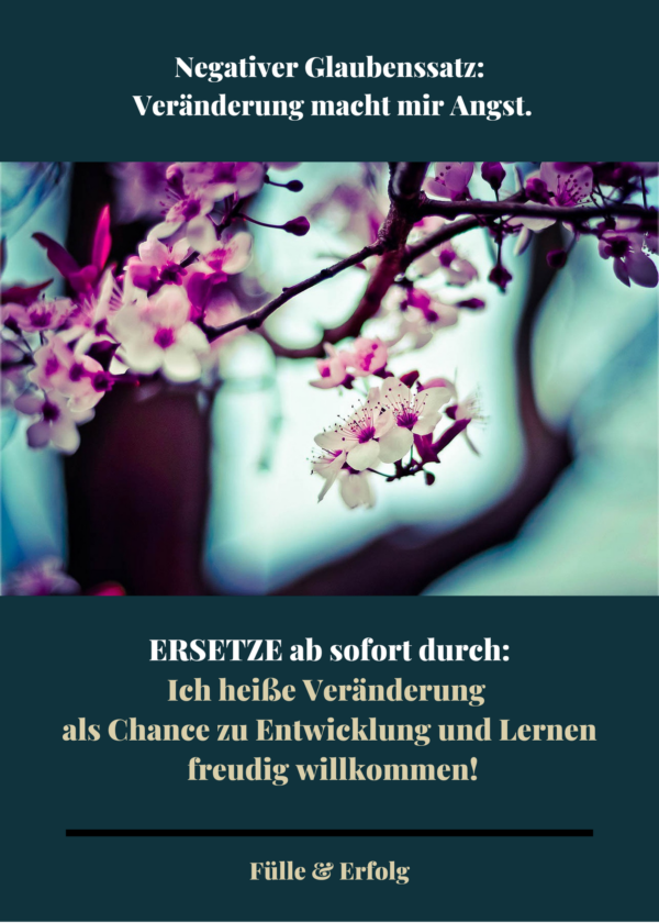 Kartenset "Fülle & Erfolg - Negative Glaubenssätze loslassen & ersetzen" – Bild 2