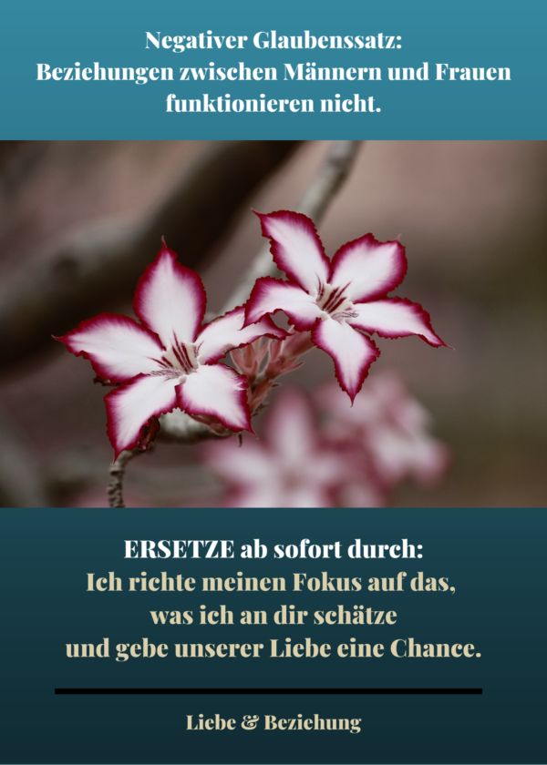Kartenset "Liebe & Beziehung - Negative Glaubenssätze loslassen & ersetzen" – Bild 3