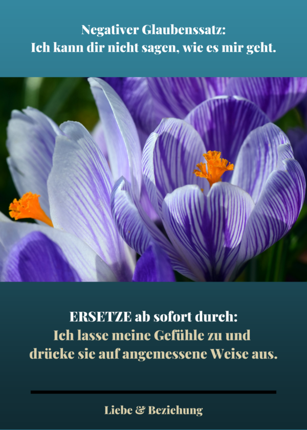 Kartenset "Liebe & Beziehung - Negative Glaubenssätze loslassen & ersetzen" – Bild 4